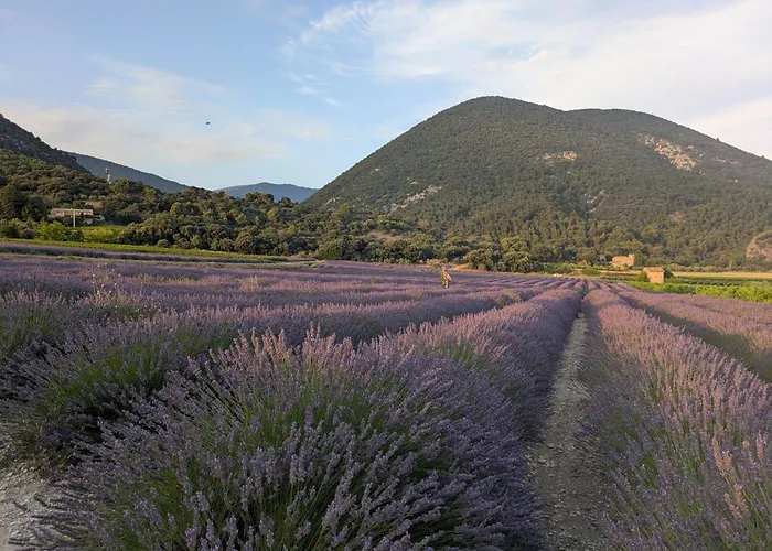 Bulles D'olive Olea Avec Piscine - Jacuzzi En Option Casa de hóspedes Nyons