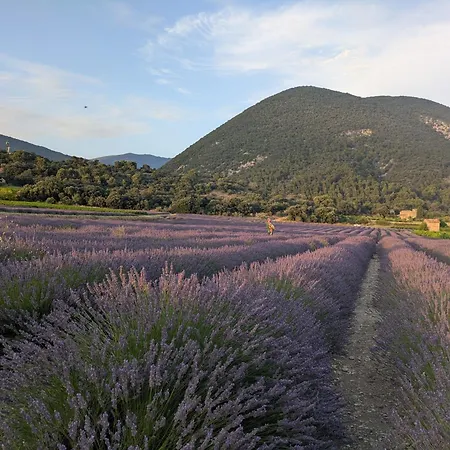Bulles D'olive Olea Avec Piscine - Jacuzzi En Option Casa de hóspedes Nyons